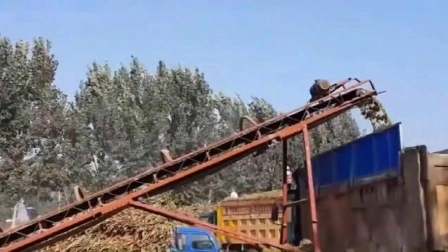 Siemens Motor 20mm-40mm Finished Size Biomass Tree Log Wood Chipper Crusher